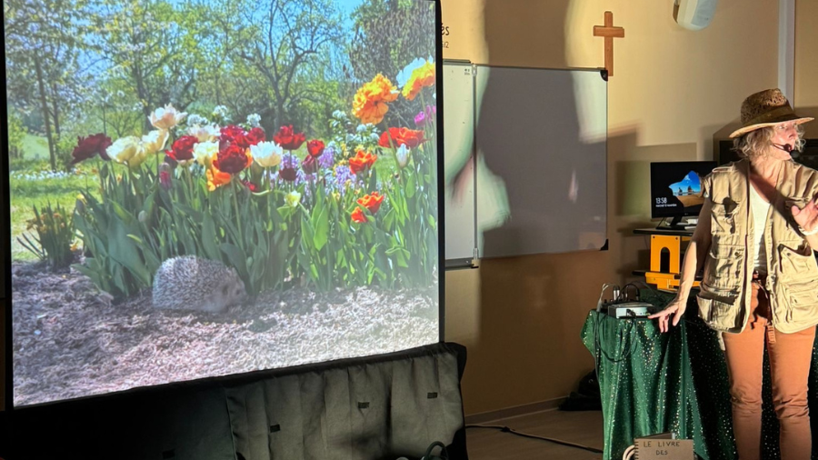 [Maternelles] Spectacle Le jardin de Clément
